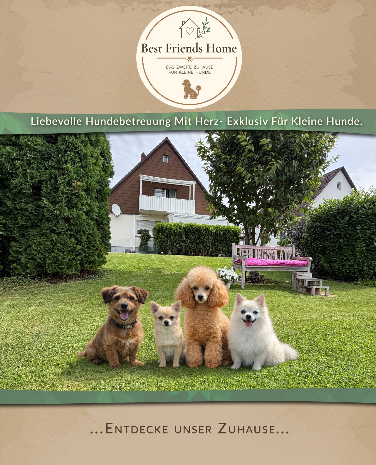 Liebevolle Hundebetreuung Mit Herz - Exklusiv für kleine Hunde